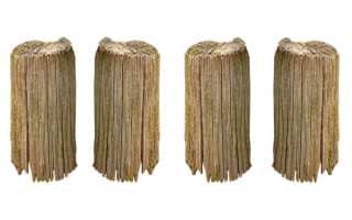 《危鸡之夜》手游评测：真正的“杀鸡”游戏