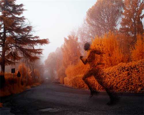 盛趣游戏战略发布会：《龙之谷2》《庆余年》等重点产品亮相