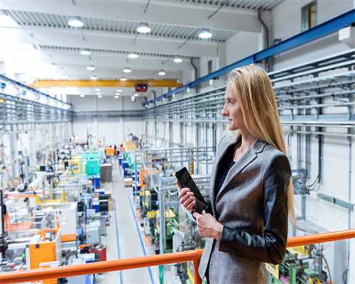 彩虹岛手游基础