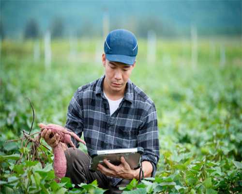 电脑不配玩《微软模拟飞行》？你可以在谷歌地球中翱翔