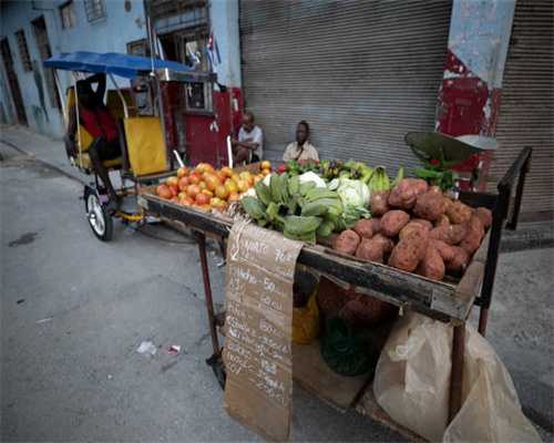 江湖等你来战 卧虎藏龙2手游新版本介绍