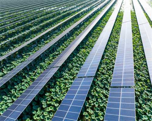 《魔界塔》领衔 一周手游开测预告