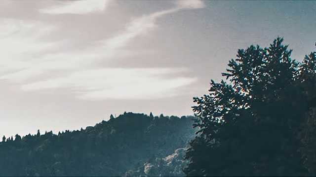 押注电商、游戏、社交，大厂能否讲好出海新故事？