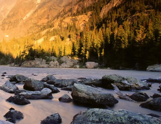 美国疫情救助贷款被“圈内人”瓜分？美媒：到底在救济谁